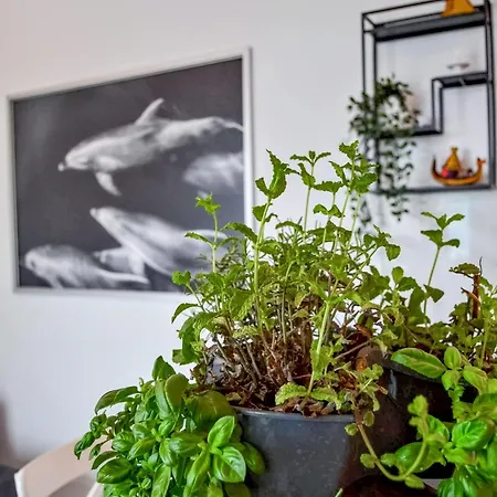 Casa Felipe V Apartment